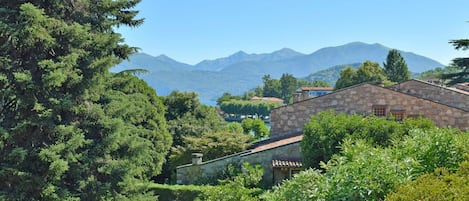 Cielo, Pianta, Comunita 'Impianto, Montagna, Ecoregione, Paesaggio Naturale, Highland, Vegetazione, Larice, Lotto