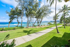 View from lanai.