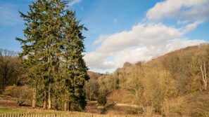 Surroundings, Betty, Bolthole Retreats