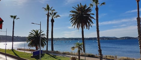 Vue de la terrasse