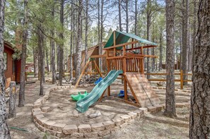 Playset in the backyard. 