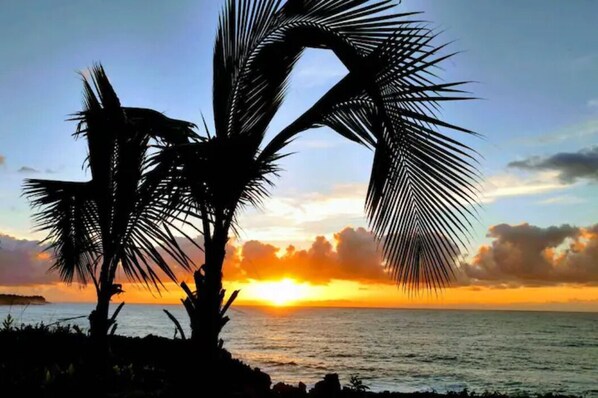 Walk to the ocean to enjoy a beautiful sunrise!