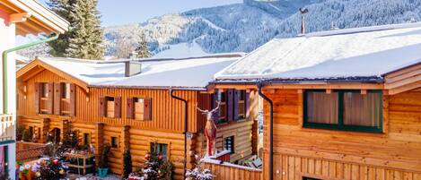 Extérieur maison de vacances [hiver]