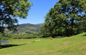 Boendeområde