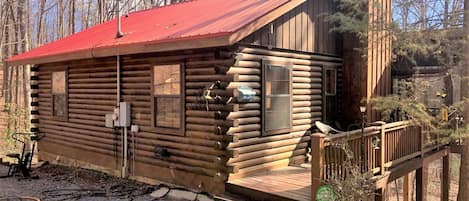 Little Bushy Head- Blue Ridge cabin rentals