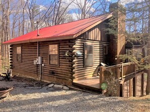Little Bushy Head- Blue Ridge cabin rentals
