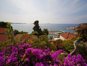 Vue depuis l’hébergement