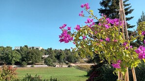 Panorama e Fiori
