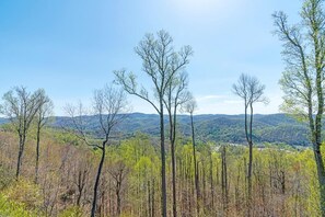 Deck Area--- Beautiful Mountain View 