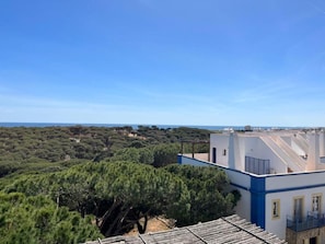 View from the sundowners deck