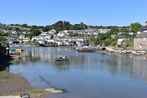 View from The Ship, Noss Mayo