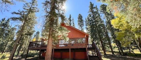 Front view of cabin