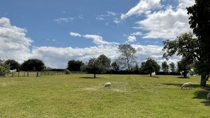 Orchard Views, Little Owl Barn, Bolthole Retreats