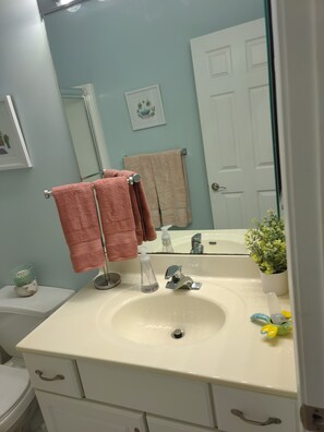 Guest Bathroom 