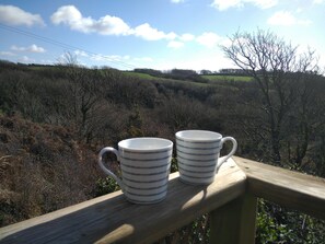 View from the deck/balcony