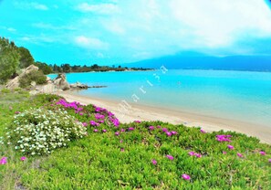 The beach