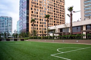 Terrain de sport