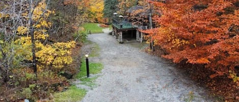 Log Home Cottage and its Driveway