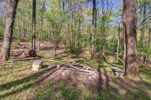 Fire Pit (Wood Provided)