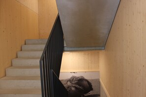 Sisätilat