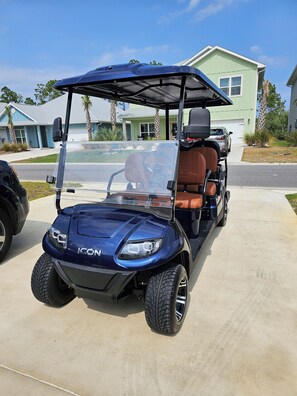 Golf Cart Available to Rent for Fee