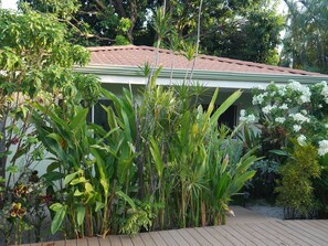Tuin