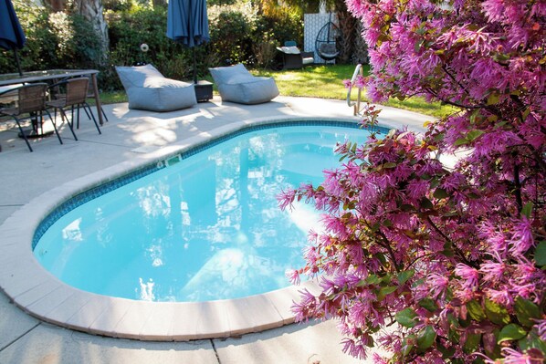 Cocktail pool, perfect for cooling off, or warming up year round