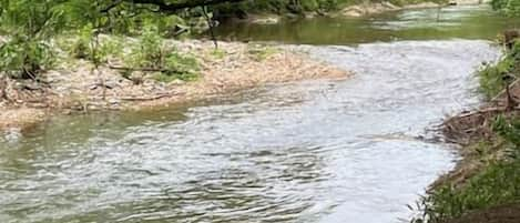 Picnic Table At Creek