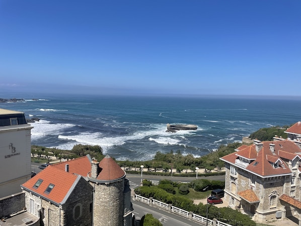 Beach/ocean view