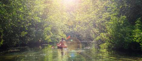Paddle through serene river, find solace in nature's embrace