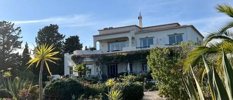 Well-kept Mediterranean garden with paths running through it