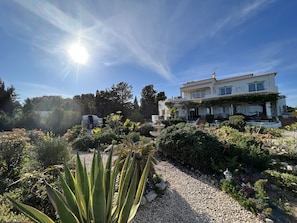 Jardim bonito e bem cuidado com zona de churrasco e terraço