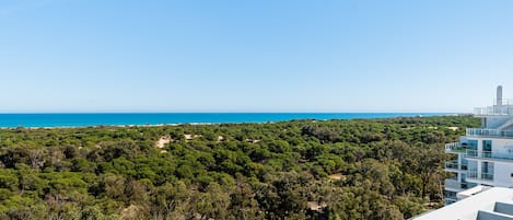 Vista dalla struttura