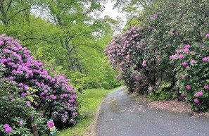 Driveway into house