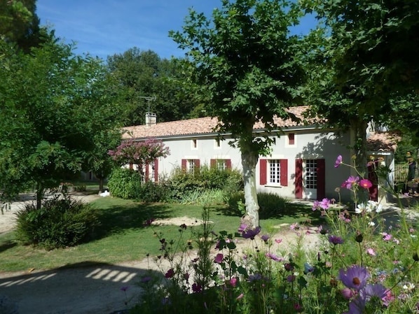 Photo 0
