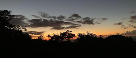 Vue de la terrasse 