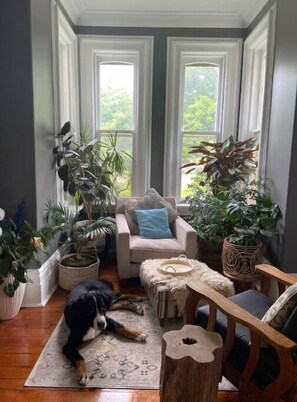 Reading nook with Stanley the Bernese Mountain Dog. Not to worry, Stanley will n