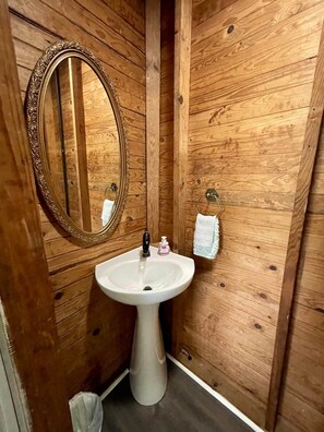 1/2 Bathroom in Master (1)