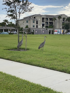 Property grounds