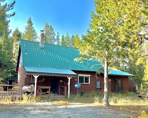 Front view of the cabin surrounded by trees.