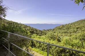 Vue depuis l’hébergement