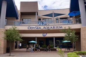 OdySea Aquarium