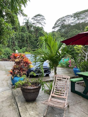 Terraza o patio