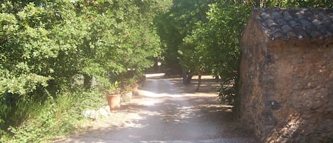 Parco della struttura