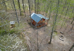 Surrounded by dogwood trees 