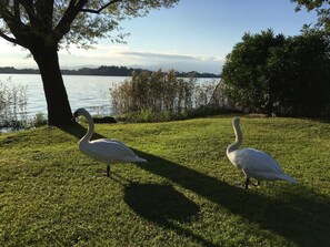 Boendeområde