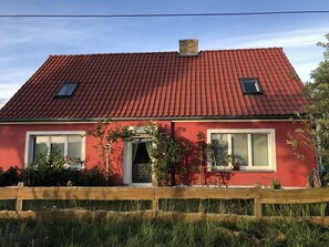 Exteriör