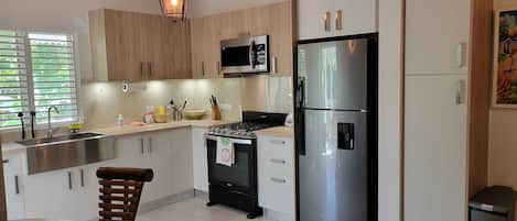 Newly renovated and modern kitchen - 2024