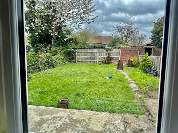 Image 15