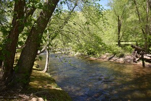 Terrain de l’hébergement 